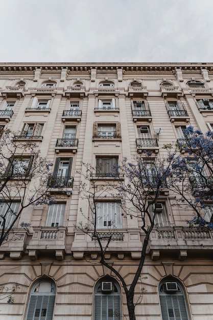 Ángulo bajo de edificio de hormigón en la ciudad con árboles