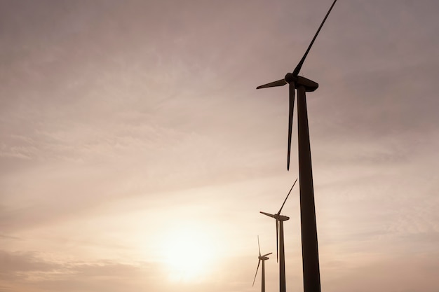 Ángulo bajo de turbinas eólicas al atardecer generando energía