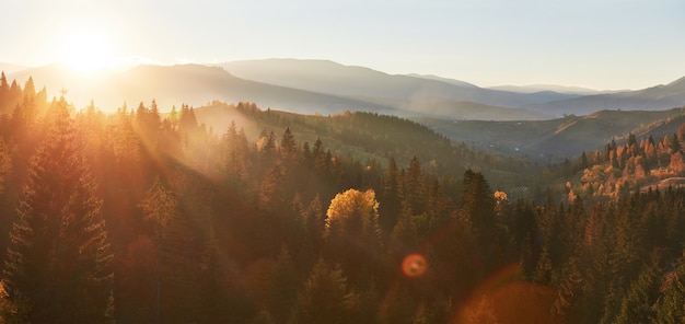 La niebla de la mañana se arrastra con restos sobre el bosque de montaña otoñal cubierto de hojas de oro.
