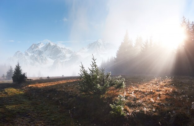 La niebla de la mañana se arrastra con restos sobre el bosque de otoño de montaña cubierto de hojas de oro. Picos nevados de majestuosas montañas en el fondo