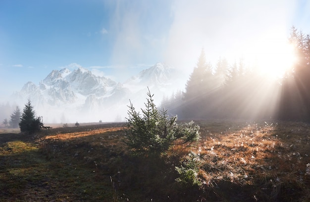 La niebla de la mañana se arrastra con restos sobre el bosque de otoño de montaña cubierto de hojas de oro. Picos nevados de majestuosas montañas en el fondo