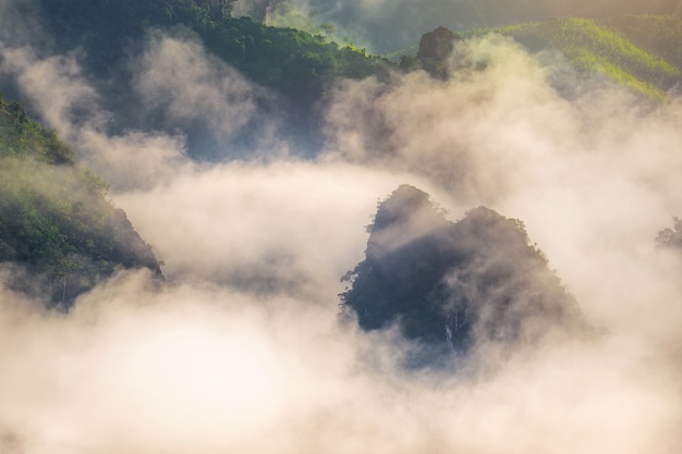 Niebla de la mañana sobre las montañas.