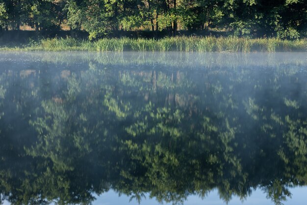 Niebla sobre el río al amanecer en el bosque Árboles junto al río al amanecer