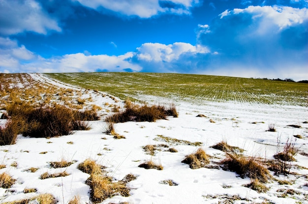  nieve y campo verde