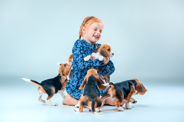 niña feliz y cachorros beagle en gris