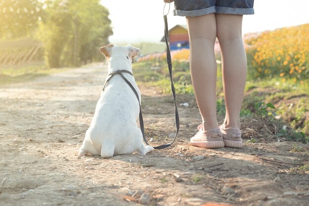 Niña feliz con un perro en el campo de flores.