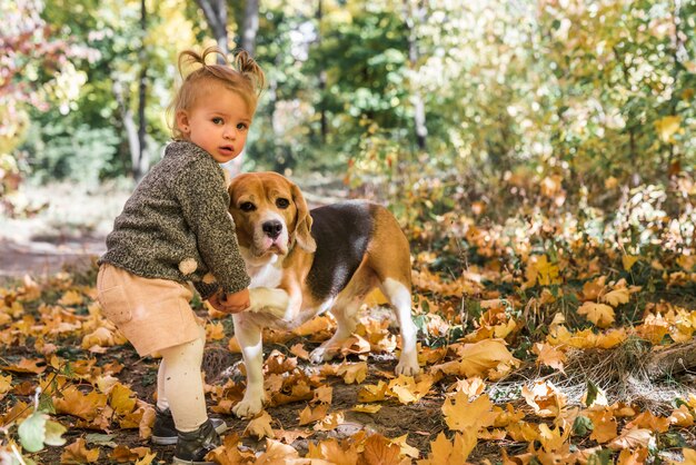 Niña haciendo apretón de manos con perro beagle en bosque