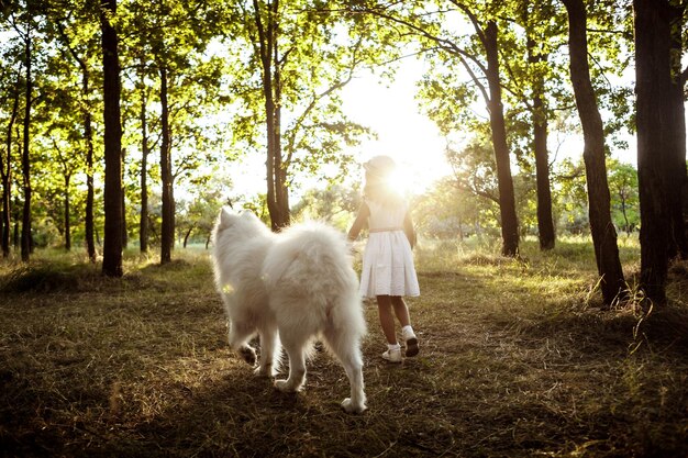 niña joven, ambulante, juego, con, perro, en el parque, en, ocaso