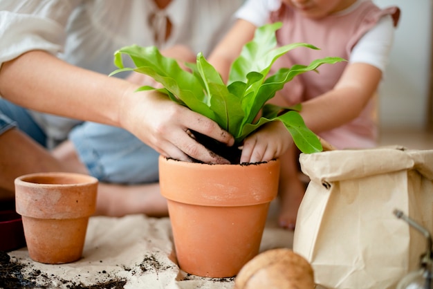 Niña y mamá macetas con plantas en casa