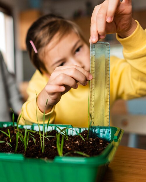 Niña midiendo los brotes que crecen en casa