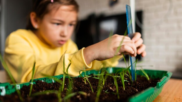 Foto gratuita niña midiendo los brotes que crecen en casa