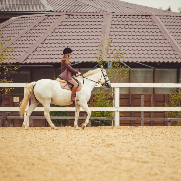 Foto gratuito la niña monta un caballo
