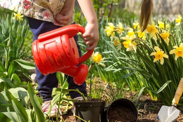 Niña plantando flores en el jardín, Día de la Tierra. Niño ayudando en la granja.