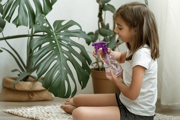 Niña rociando hojas de plantas de interior, cuidando la planta Monstera.