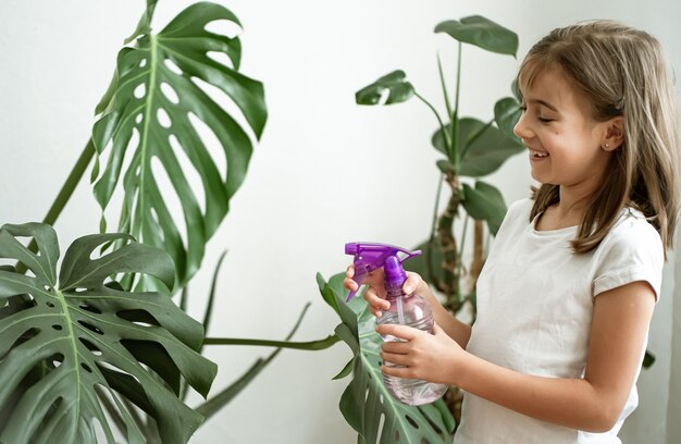 Niña rociando hojas de plantas de interior, cuidando la planta Monstera.