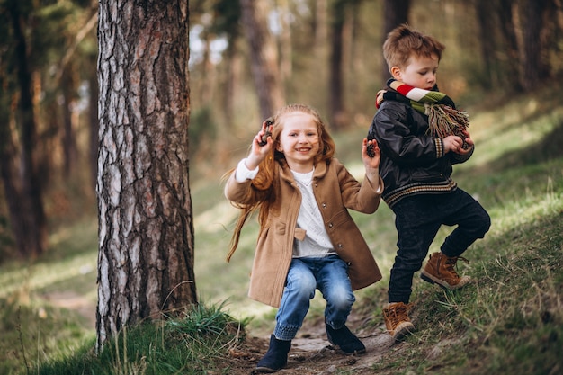 Niña con su hermano pequeño juntos en el bosque