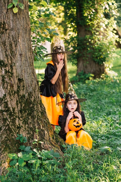 Niñas con trajes de bruja mostrando sorpresa cerca del árbol