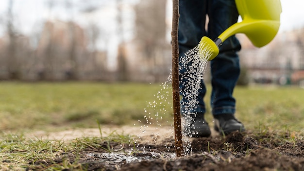 Niño aprendiendo a plantar un árbol.