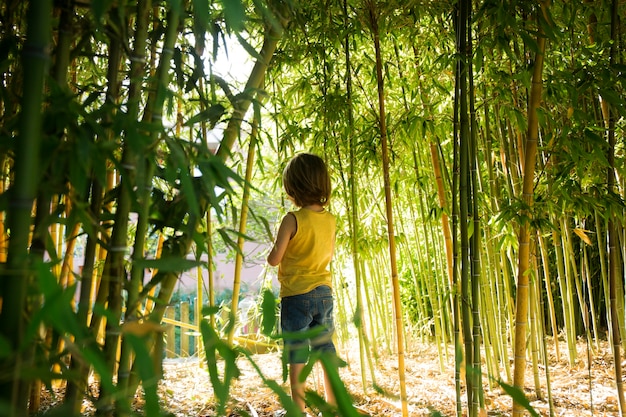Niño caminando por un bosque de bambú