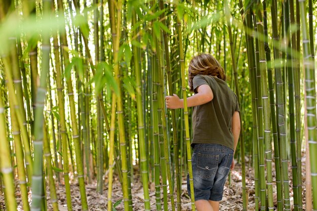 Niño caminando por un bosque de bambú