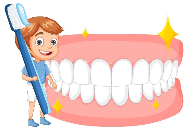 Niño con cepillo de dientes y dientes limpios