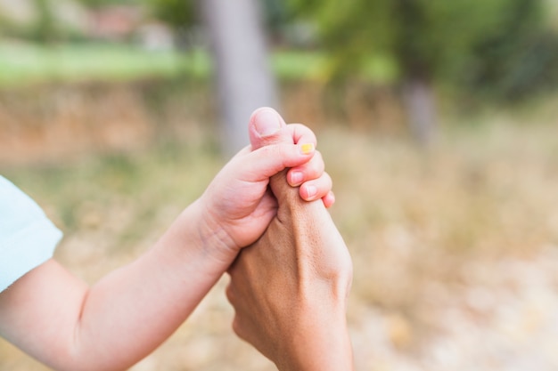 Niño de cultivo sosteniendo el pulgar del padre