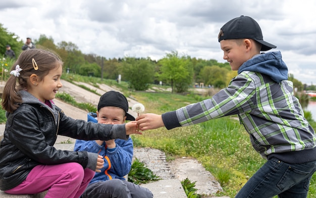 Foto gratuita un niño le da a una niña un diente de león en la naturaleza.