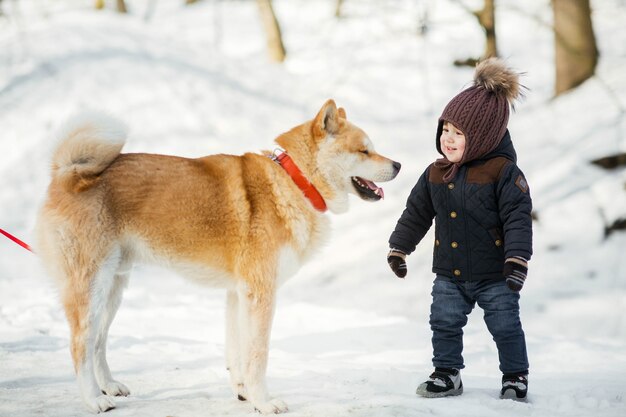Niño feliz stnads ​​antes de un perro Akita-inu en el parque de invierno