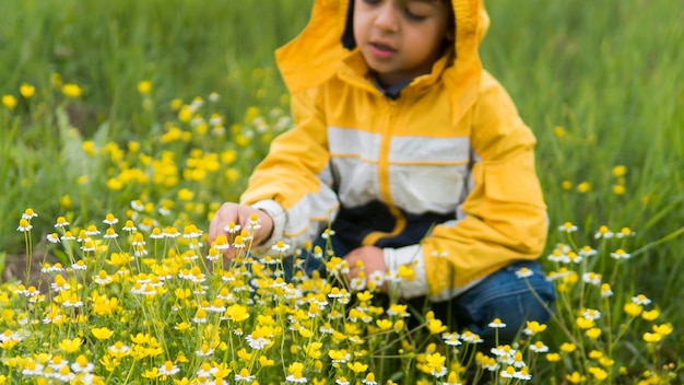 Niño en gabardina recogiendo flores vista frontal