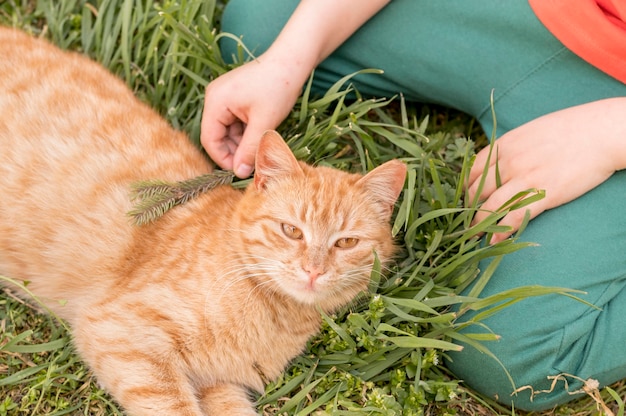 Foto gratuita niño con gato al aire libre