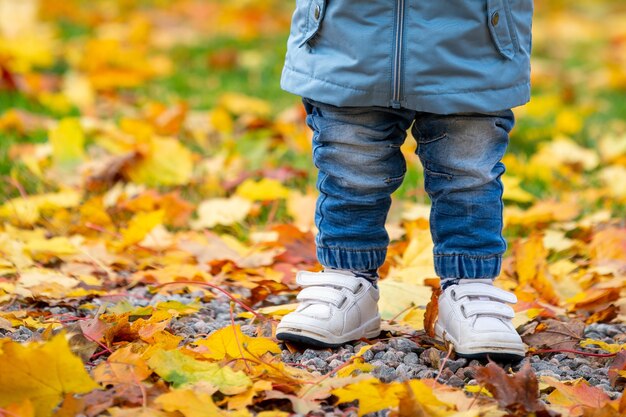 Niño con jeans de pie sobre hojas secas de otoño