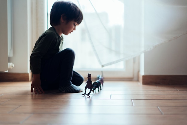 Niño jugando con dinosaurios de juguete