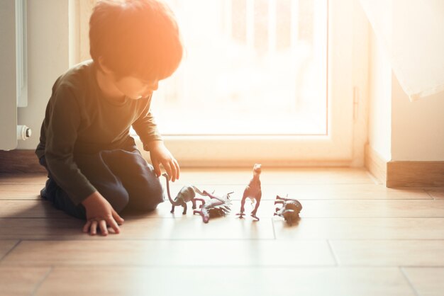 Niño jugando con dinosaurios de juguete