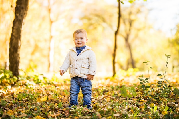 Niño jugando en follaje amarillo. Otoño en el parque de la ciudad joven.