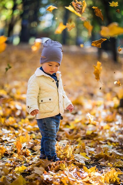 Niño jugando y lanzando hojas en el parque otoño