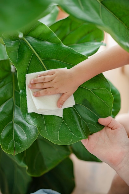 Niño limpiando plantas de interior en casa