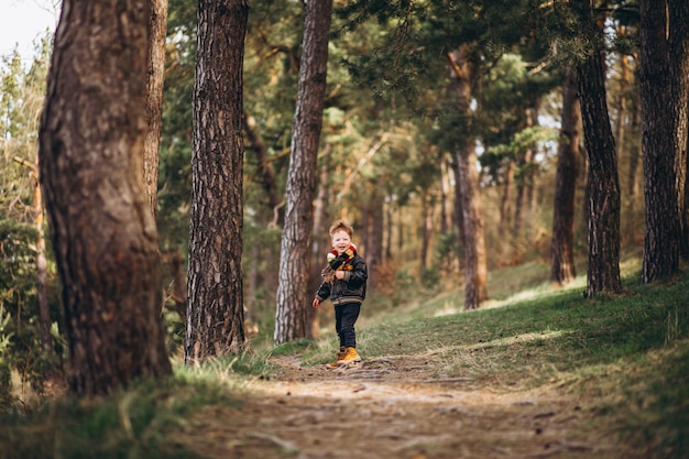 Niño lindo en bosque solo