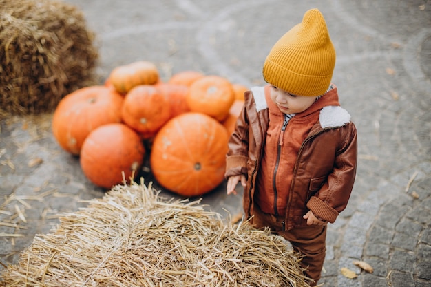 Niño lindo con calabazas de halloween en el rancho