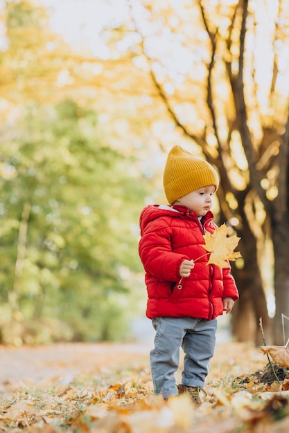 Niño lindo en chaqueta roja en el parque otoñal