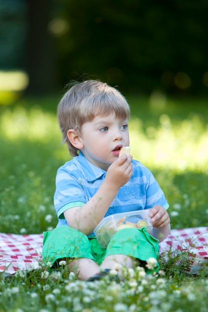 Niño lindo en picnic en el parque
