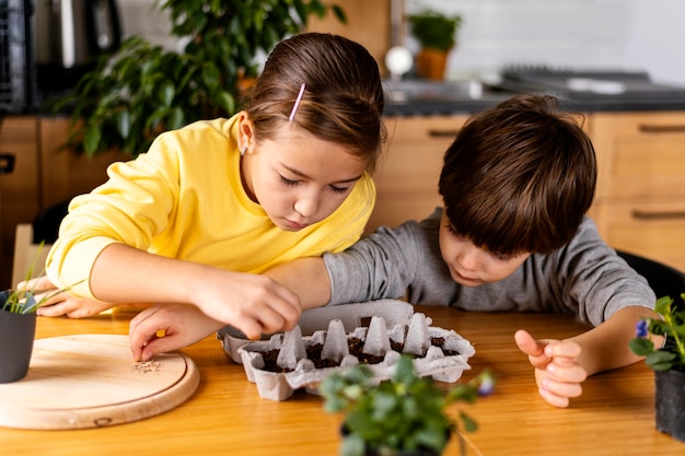 Niño y niña en casa plantando semillas