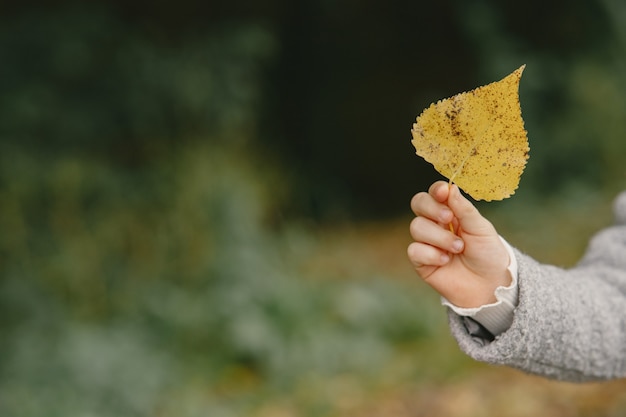 Niño en un parque de otoño. Niño con un abrigo gris.