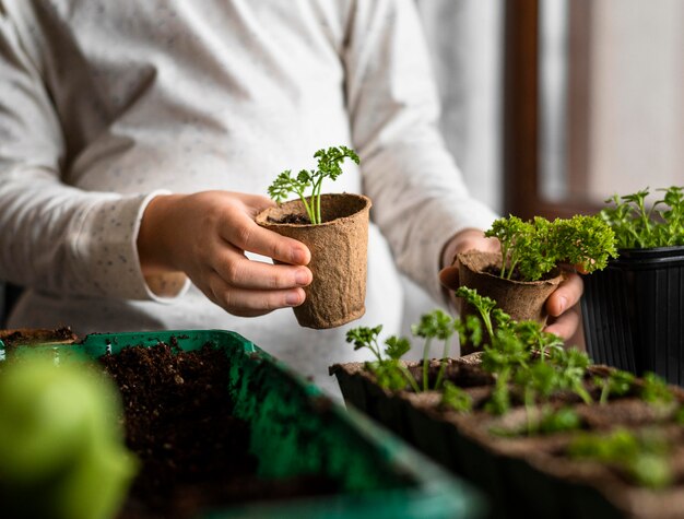 Niño con pequeñas plantas junto a la ventana.