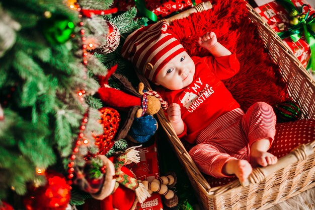 Niño pequeño juega acostado en la canasta bajo el árbol de Navidad verde