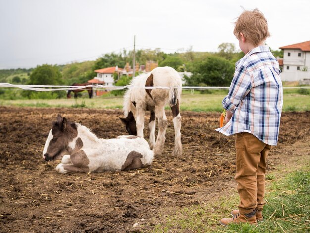 Niño pequeño mirando animales