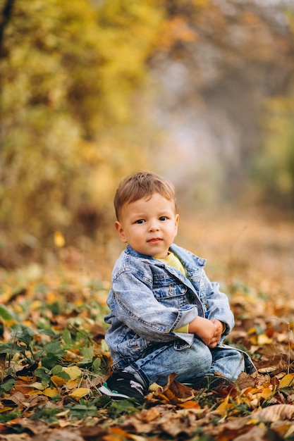 Niño pequeño que se sienta en parque en las hojas de otoño