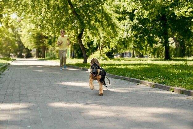 Niño positivo y cachorro de pastor alemán corriendo en el parque