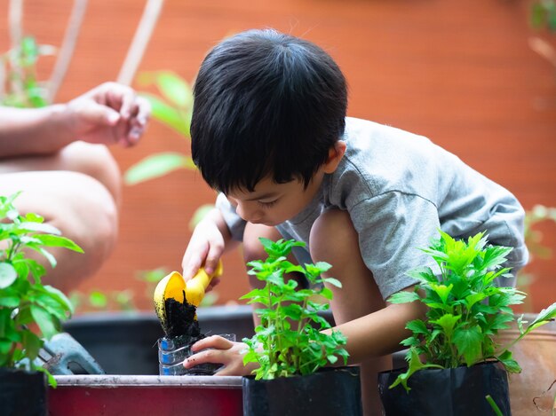 Niño preescolar asiático planta chalote en botella de ...