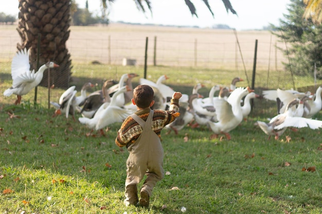 Foto gratuita niño de tiro completo corriendo tras gansos