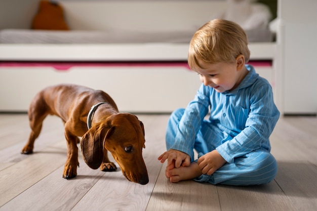 Foto gratuita niño de tiro completo jugando con perro